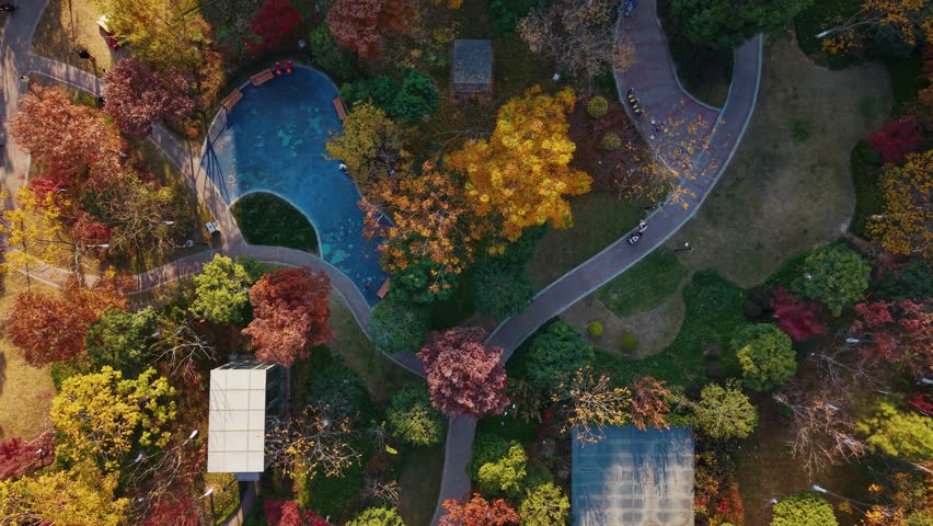 Aerial view of colorful autumn trees and pathways in a park setting during the daytime in China