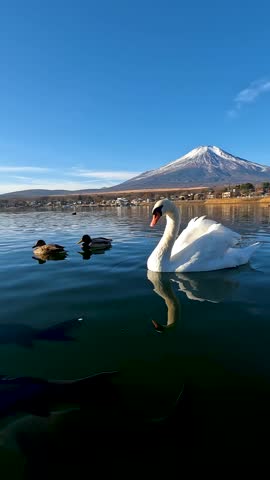 Yamanakako Lake (Lake Yamanaka) is the largest of Japan