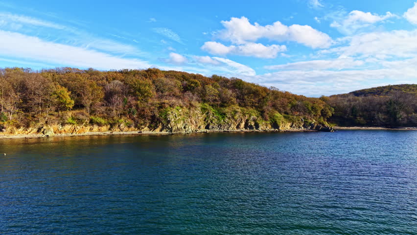 A beautiful view of a calm shoreline adorned with vibrant autumn leaves. The sun shines brightly overhead, illuminating the serene water as it laps against the rocky coast.
