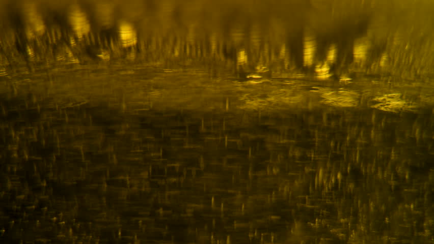 4K 29,97 fps Artistic Carbonation Amber Effervescence with Unique Manual Lens Bokeh