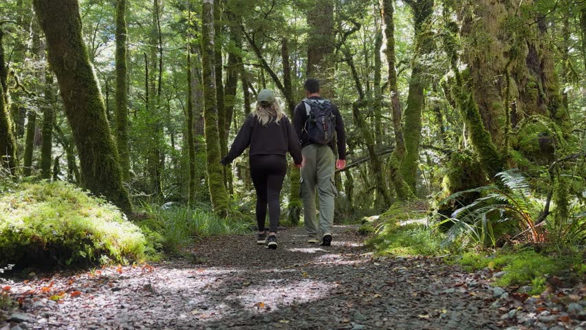 A couple walks through a lush green forest in Fiordland National Park, New Zealand. Towering trees, peaceful trails, and vibrant greenery create a serene nature experience.