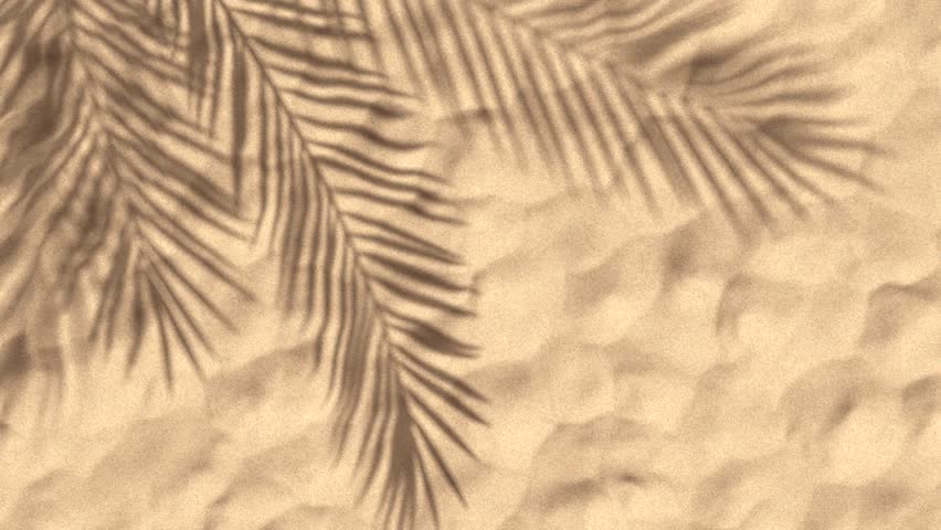 Animated background of palm tree leaves shadow on sand.