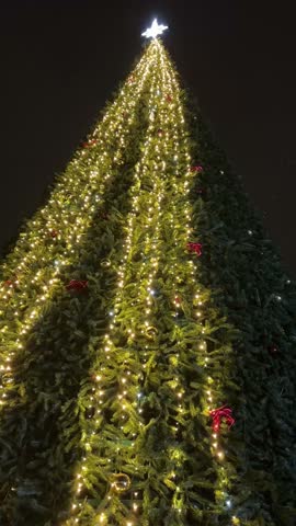 Tall christmas tree decorated and illuminated outdoors