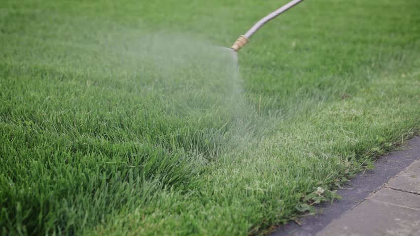 Spraying lawn with weed killer for effective garden maintenance and healthy green grass cultivation