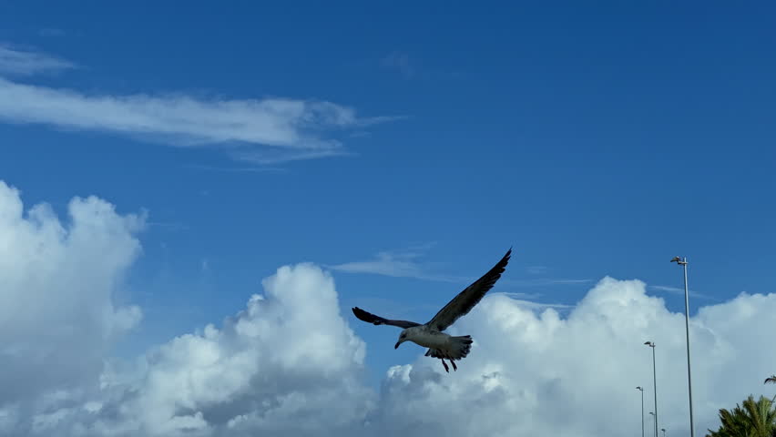 some Flock of seagulls taking off above a bright blue tidal channel cutting through golden sand towards the sea