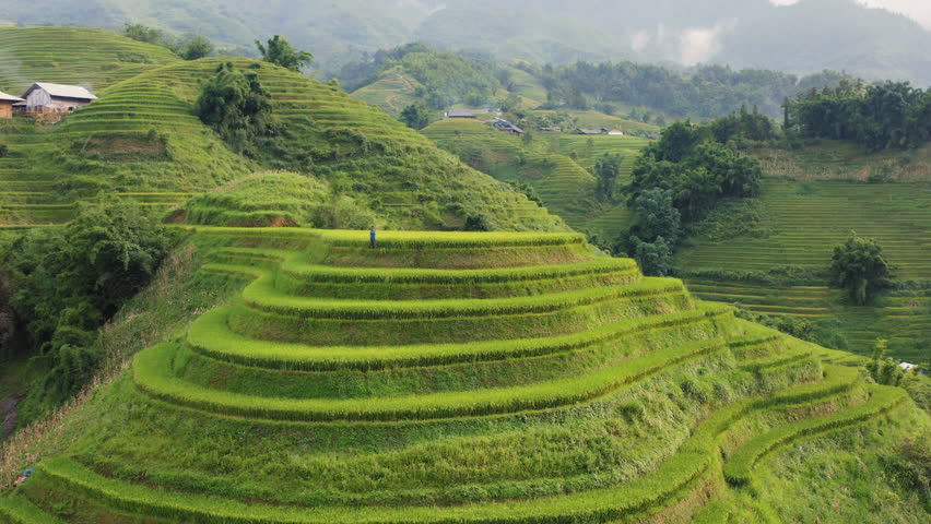 Semi orbit aerial shot circling terraced rice fields carved into green hillsides in Sa Pa Vietnam under daylight conditions.