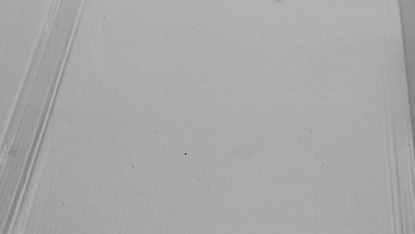 Dynamic shot of various nutmeg seeds, including those with red mace and dark inner seeds, falling rapidly onto a white surface.