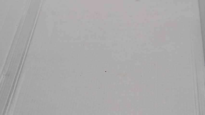 A top-down shot of fresh nutmeg seeds covered in vibrant red mace falling and scattering across a clean white background.