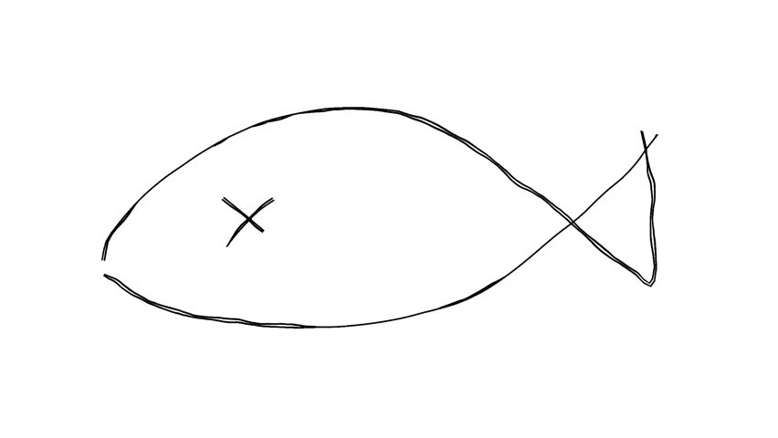 Fish doodle line drawing illustration. Hand-drawn icon video with moving lines. Looping 4K animation