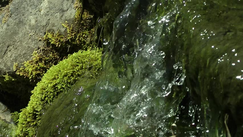 Waterfall Background with Moss