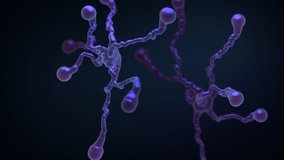 Pulsing nodes of neural network connections on dark background. Visualization of artificial intelligence AI, neural networks, brain activity or data processing. Looped realistic 4K animation - Powered by Shutterstock - Get 15% off with code: PIKWIZARD15