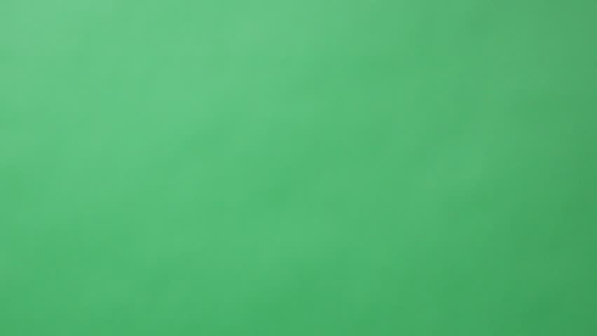 Feathers. Slow Motion of white feathers or bird wings falling against green screen background studio. Slowmotion soft feather falling down on air slowly to ground on greenscreen backdrop chroma key.