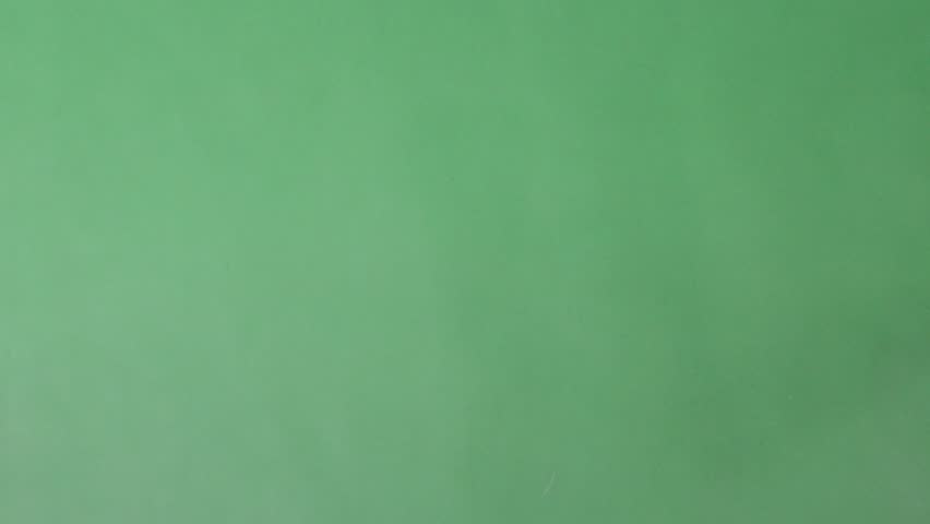 Feathers. Slow Motion of white feathers or bird wings falling against green screen background studio. Slowmotion soft feather falling down on air slowly to ground on greenscreen backdrop chroma key.