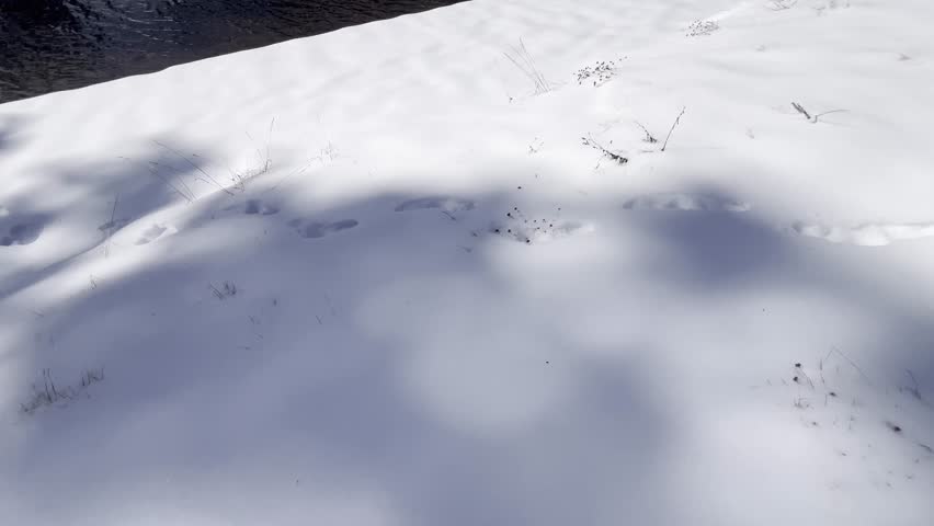 Snow covered landscape surrounding the Ridge Lake with icy volcanic peaks at Lassen Volcanic National Park