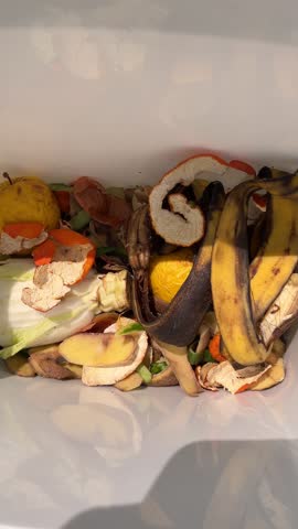 Food scraps in a compost bin. Composting Organic Food Waste for producing fertile soil