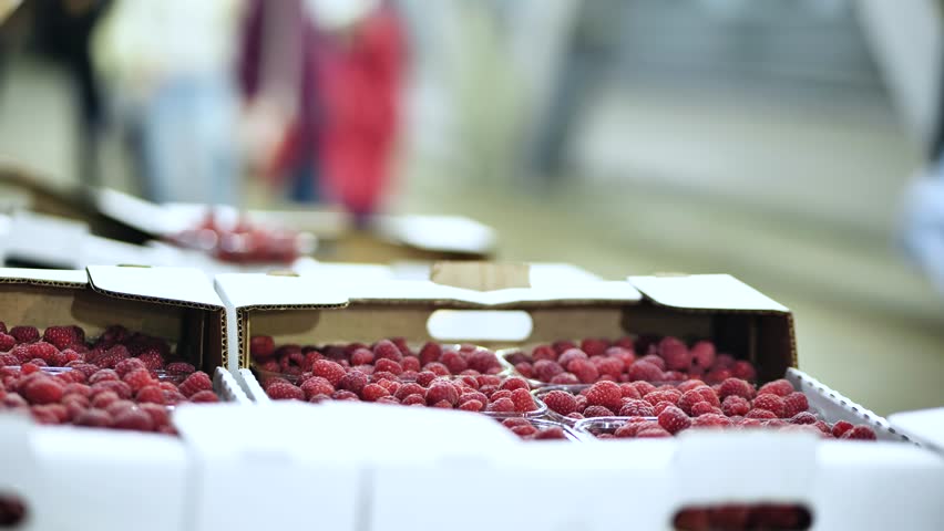 Fresh raspberries in cardboard boxes and plastic containers at a fruit market stall