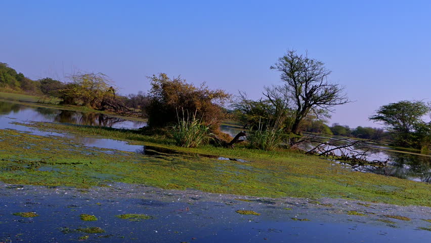 Keoladeo Bird Sanctuary