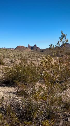 Mule Ears Trailhead with Distinct Pointed Mountains (Big Bend National Park, Texas, USA)