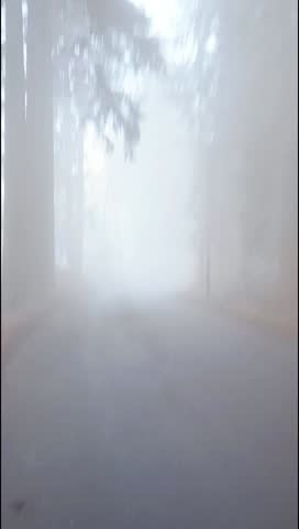Walking in a fog ,trees sekund.