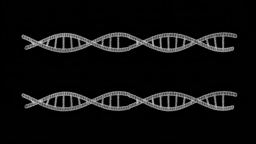 DNA Double Helix HUD Graphic Element – Dual Rotation Sci-Fi Overlay Loop, White Fresnel