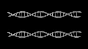DNA Double Helix HUD Graphic Element – Dual Rotation Sci-Fi Overlay Loop, White Fresnel - Powered by Shutterstock - Get 15% off with code: PIKWIZARD15
