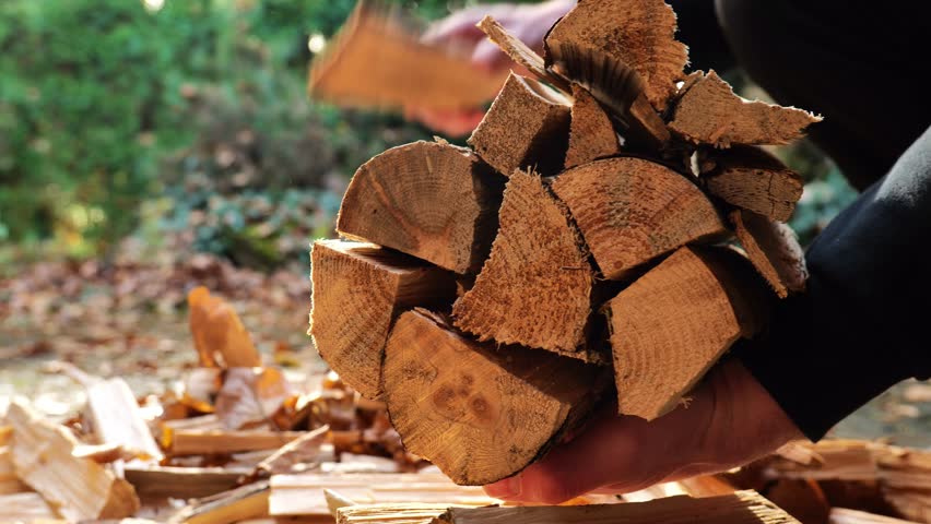 Chopped firewood . stack of firewood in a mas hands.Heating season. Solid natural heating fuel. 4k footage