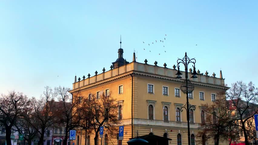 Birds flying above historic town hall with classical architecture during calm day in old city center