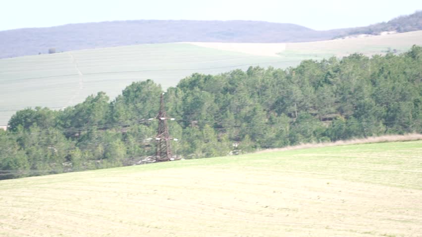 Forest Landscape Hills Trees Green Grass Field