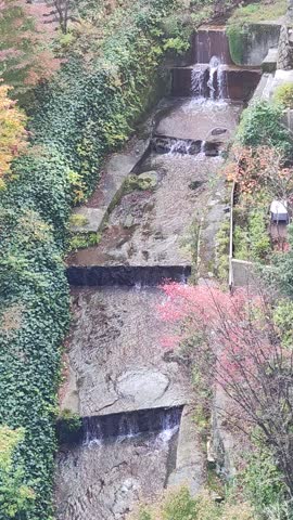A high-angle view of a man-made tiered mountain stream or river in the scenic Hakone region. The footage captures water cascading down several stone levels, surrounded by lush green ivy and early autumn foliage, reflecting the peaceful and natural atmosphere of this popular hot spring resort area.