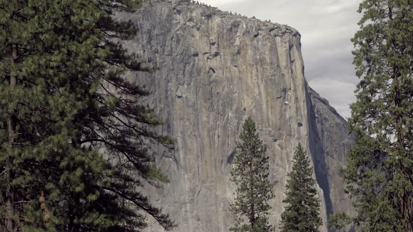 A massive granite cliff rises behind tall alpine pines swaying gently in the foreground.