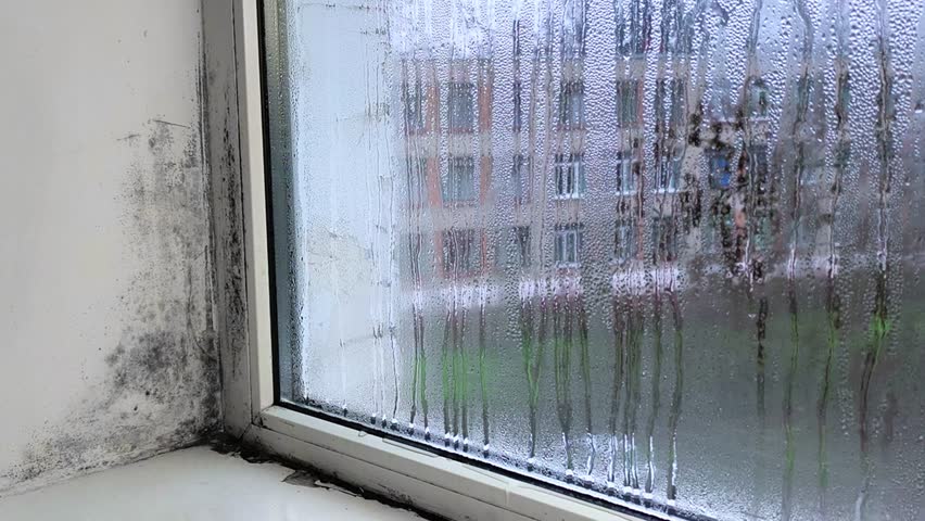 water droplets streaming down wet glass window pane. fungal colonization on window. dampness and persistent moisture lead to development of black mold and mildew. condensation on glass of window.