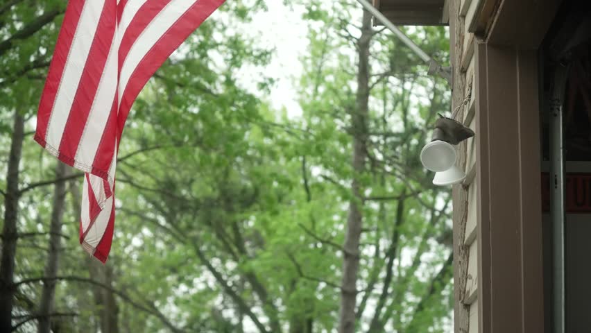 An American flag swigs beside a garage exterior, framed by lush green trees and soft daylight. The scene captures quiet suburban life, patriotic charm, and the warm, inviting a peaceful neighborhood.