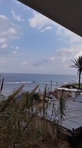 Coastal Pampas Grass Silhouette at Dusk
