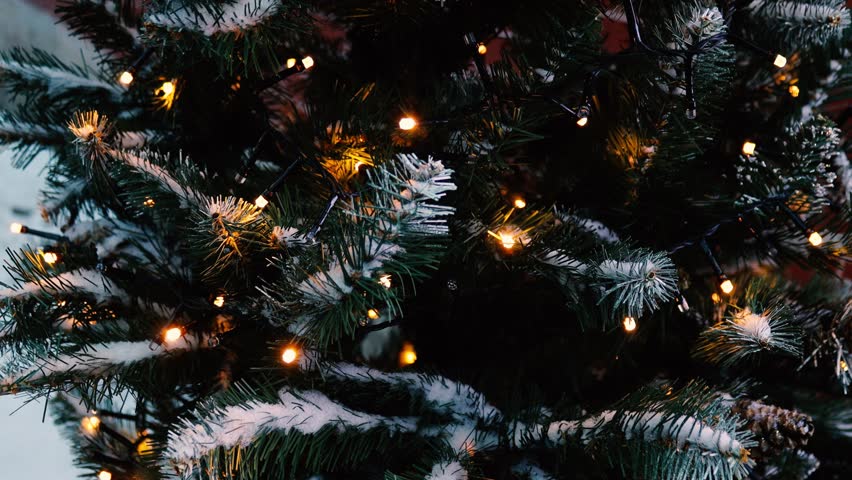 A close-up view of a decorated Christmas tree with twinkling lights.