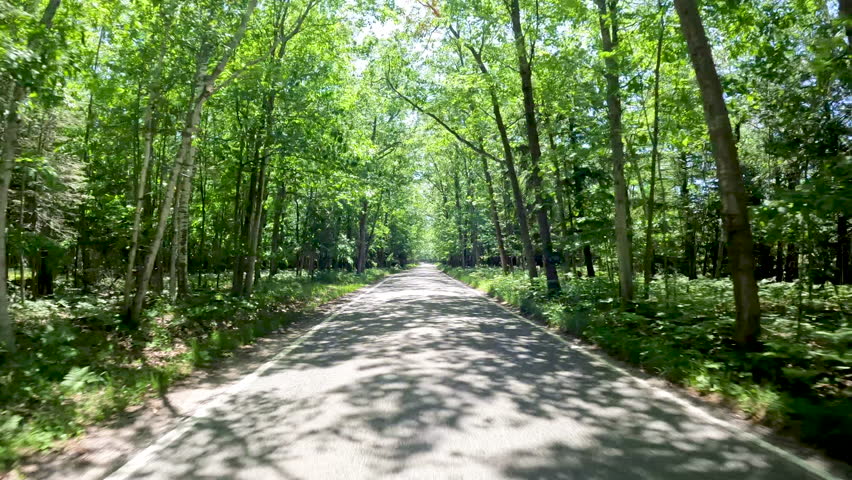 Tunnel of Trees Scenic M-119 Byway in Northern Michigan, USA. Road trip through the Tunnel of Trees M-119 Scenic Byway in Northern Michigan, USA. M-119 in Michigan refers to the scenic Tunnel of Trees, a 20-mile stretch of narrow, winding highway (also known as the M-119 Heritage Route) along the Lake Michigan shoreline in Emmet County, famous for its dense hardwood canopy and panoramic lake views between Harbor Springs and Cross Village.