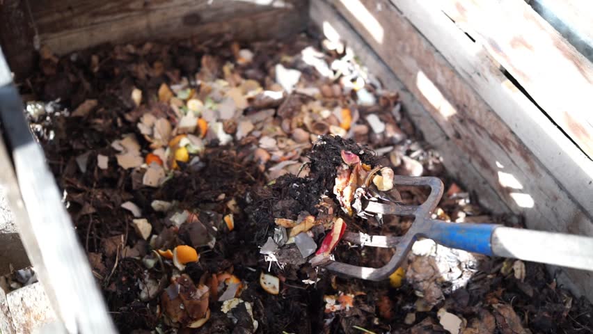Turning Compost with a Garden Fork in a Wooden Compost Bin