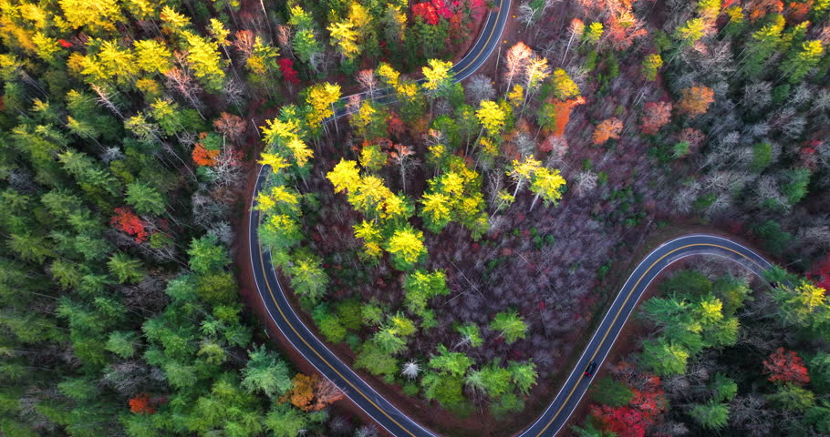 Car driving through colorful fall scenery in Appalachian region. Winding forest road surrounded by golden leaves and cool mountain air
