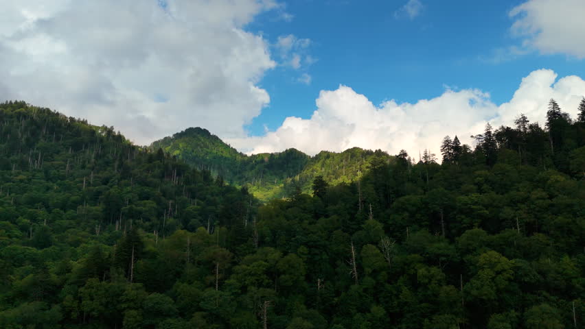 Great Smoky Mountains in summer season. Mountain wooded hills in Tennessee Appalachians, USA.