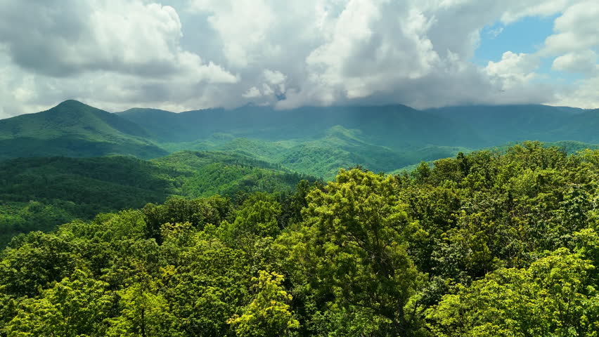 Nature landscape of Tennessee Appalachian mountains. Mount Le Conte and mountain forest with green canopies in summer rain season.