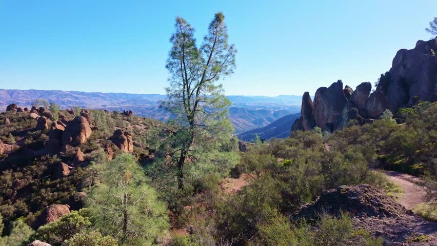 Jagged volcanic rock formations and towering spires of the High Peaks rising sharply against the sky along a Pinnacles hiking trail
