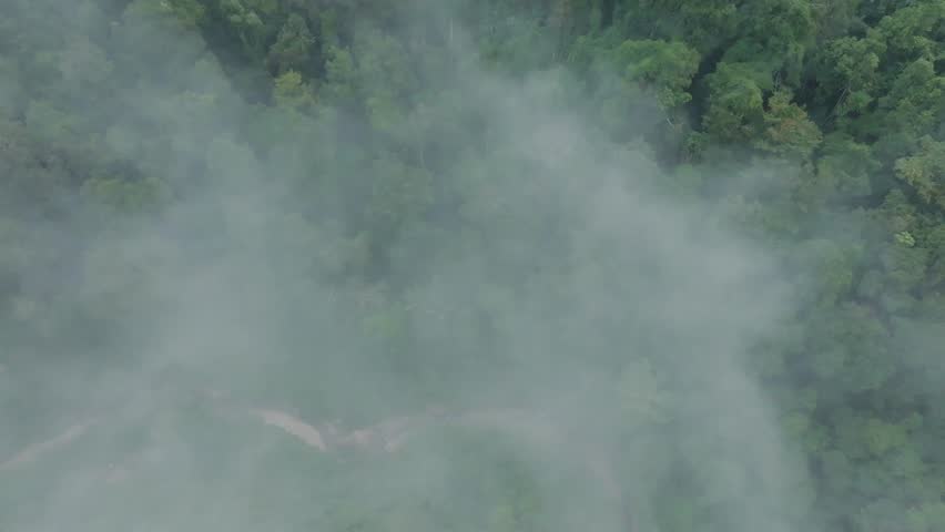 Aerial View of Misty Forest Landscape Covered in Fog
