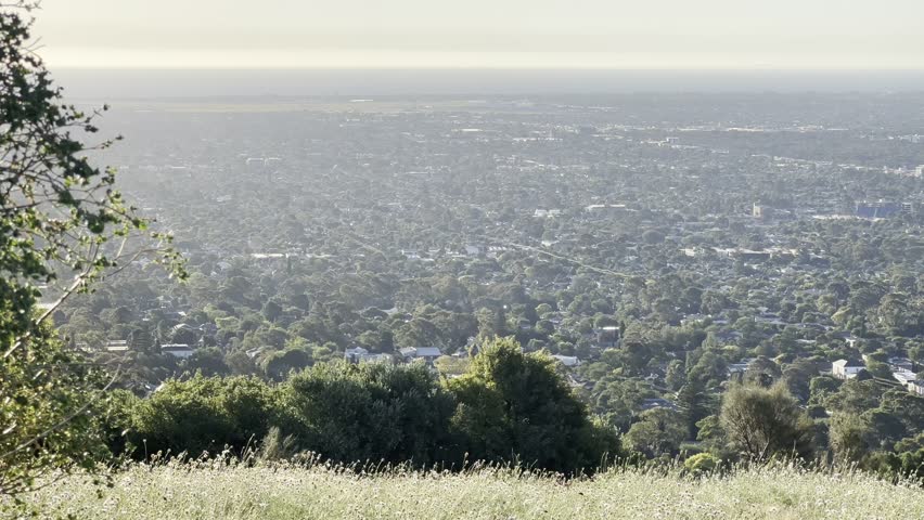 Panoramic View of Adelaide Suburbs and Coastline from Elevated Hillside