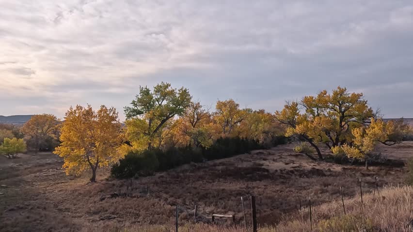 Oklahoma, USA. November 6, 2025.