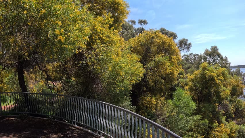 Joondalup Lake Perth, scenic view from the lookout point