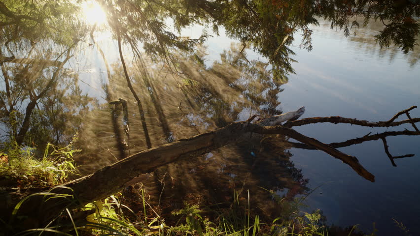 Serene river surface with glassy water reflections and drifting morning fog