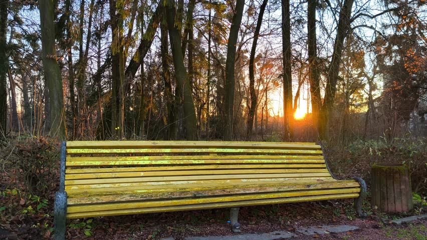 A serene yellow wooden bench sits nestled among tall trees in a forest at sunset. Golden light filters through the branches, casting long shadows on the ground. Autumn foliage adds warm hues to the tr