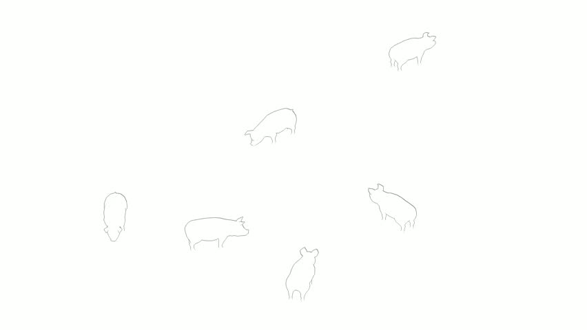This video showcases a minimalist animated outline of cows moving gracefully against a white background, Perfect for projects related to agriculture, animal husbandry, or farm life.