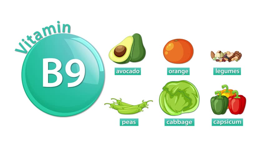 Animated infographic reveals Vitamin B9-rich foods with smooth transitions, flat design, and white background