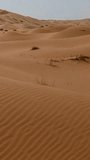 Rippling Desert Sand Dunes with Sparse Grasses - Powered by Shutterstock - Get 15% off with code: PIKWIZARD15