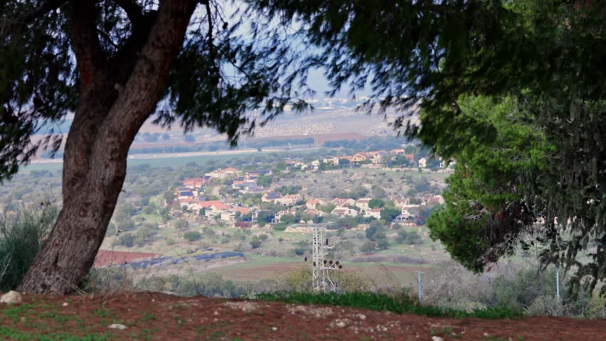 Tree branches sway in the breeze above a small hillside town in northern Israel. Daytime view across green slopes and rooftops with a calm Mediterranean countryside mood